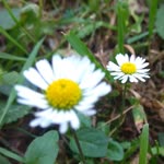 Ablamla