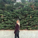 İrem