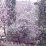 Nurcan