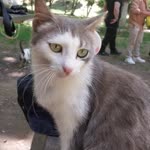 Zeynep