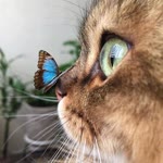 Ozlem