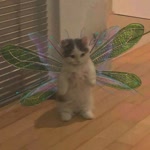 Kübra