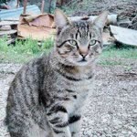 Yakup