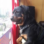 Ömer
