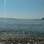 Rumuz