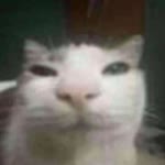 Anonim