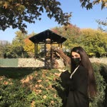 Aygün