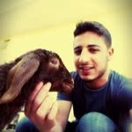 Fuat