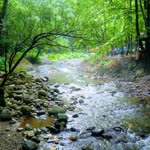 Duyaşk