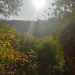 Bahar