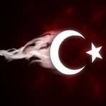 Aynur