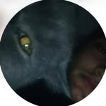 Emirhan