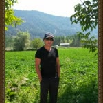Erol