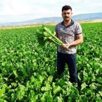 Burak