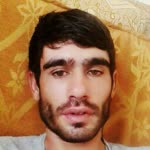 Şahin