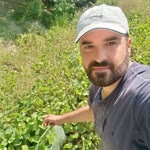 Halid