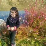 Nihat