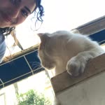 Elif