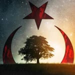 Erkan