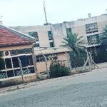 Tarık