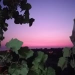 Şeyma