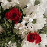 Bahar