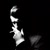 profile-icon