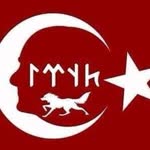 Aşina