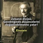 Ayalp
