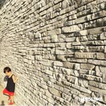 Dilek