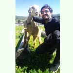 Yusuf