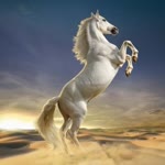 Onur