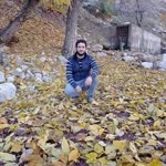 Halit