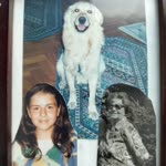 İlke