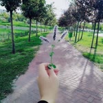 Gülsüm