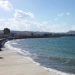 Medine