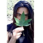 Merve