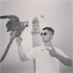 Tarz