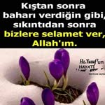 Alya