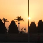 Şüheda