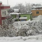 Poyraz