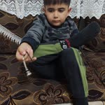 Şahin