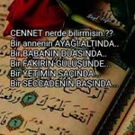 Şaban