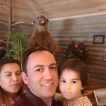Gökhan