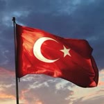 Çınar