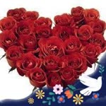 Cansu