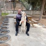Yavuz