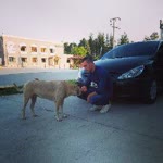 Ümit
