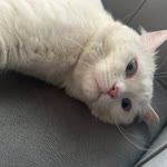 Kübra