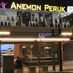 Anemon